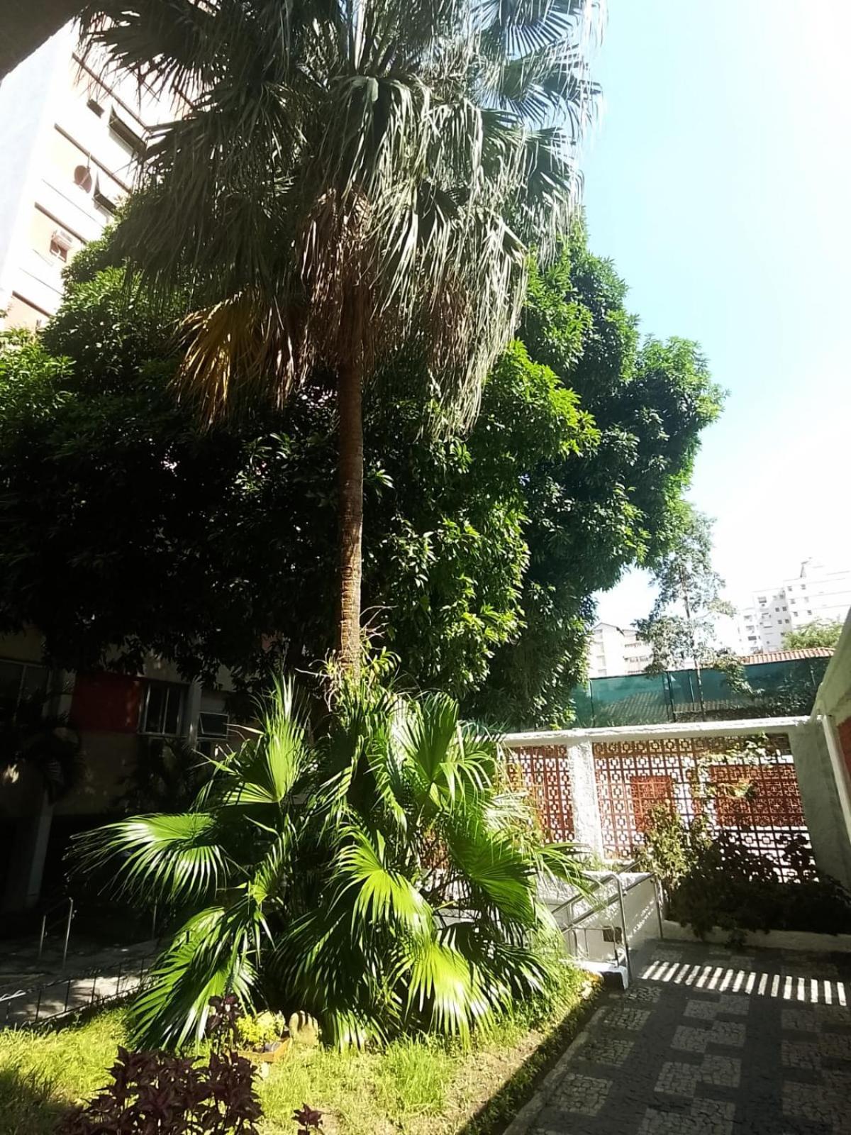 Apartamento Parque Jardim Europa ريو دي جانيرو المظهر الخارجي الصورة